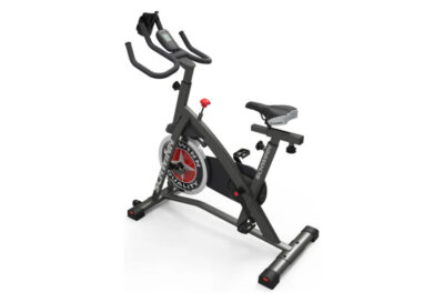 Schwinn IC2i