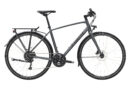 Trek FX 2 Disc EQ Gris Lithium 2023