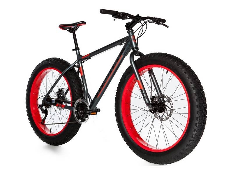 Fat Bike Moma Bikes Fat 26'' Shimano 21V Argent – Image 2