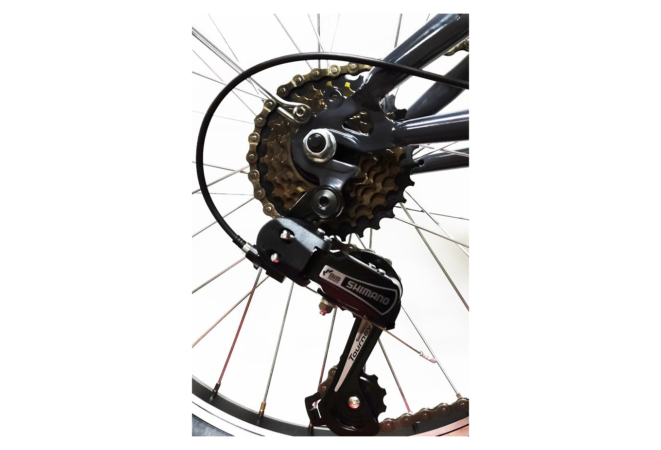 CLOOT PLIANT ICONIC LUX 20 – Image 6